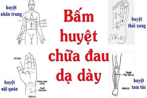 Đau Dạ Dày Bấm Huyệt Nào Bí Quyết Giảm Đau Hiệu Quả Bằng Y Học Cổ Truyền