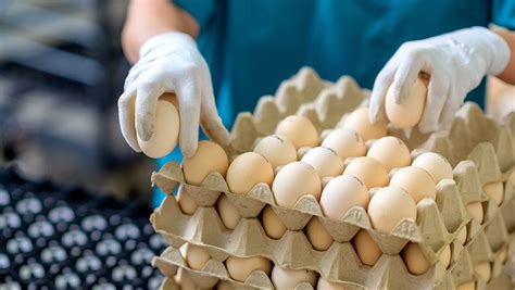 Why Eggs Are Expensive Right Now—and What To Cook Instead