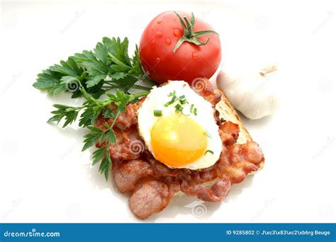 Fried Egg On Grilled Bacon Stock Photo Image Of Breakfast