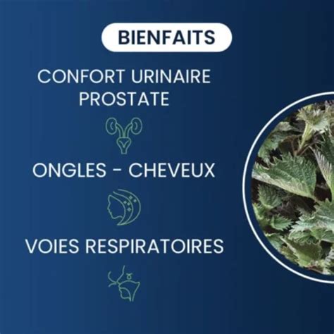 Ortie Racine Bio G Lules Dynveo Pour Confort Prostate