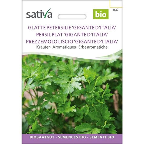 Sativa Bio Glatte Petersilie Gigante D Italia Packung Bloomling