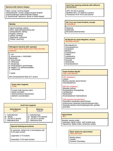 Microbiology Mnemonics 1 Pdf