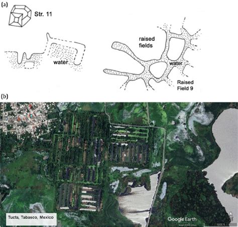 Mayan Raised Field Farming