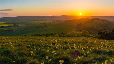 South Downs National Park Funding Boost For Chalk Grassland