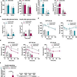 Effects Of Adipocyte Specific Hsl Deletion On Systemic Energy