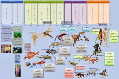 Blog del Centro Escolar Clarisa Cárdenas Las eras geológicas de la