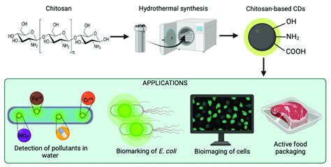 Schematic Representation Of The Synthesis Of Chitosan Based Carbon Dots