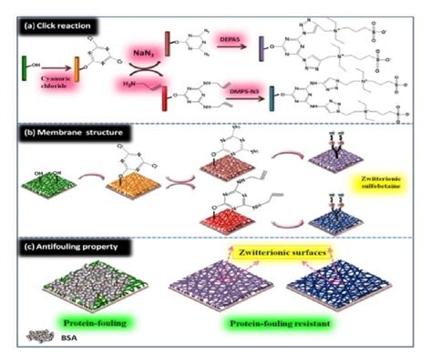 Zwitterionic Sulfobetaine Functionalization Of Pva Co Pe Nanofiber Download Scientific Diagram