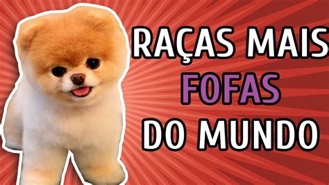 10 RaÇas De Cachorro Mais Fofas Do Mundo Youtube