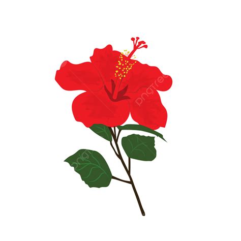 Design De Vetor De Flor De Hibisco Png Hibisco Flor Arte Imagem Png E Vetor Para Download