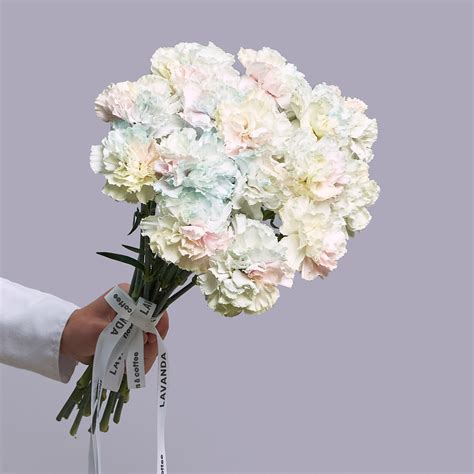 Радужные диантусы - купить с доставкой в Омске - LAVANDA