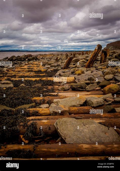 Joggins Fossil Cliffs On The Bay Of Fundy In Nova Scotia Canada Is The