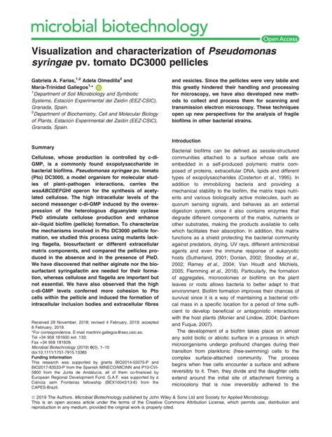 (PDF) Visualization and characterization of Pseudomonas syringae pv. tomato DC3000 pellicles