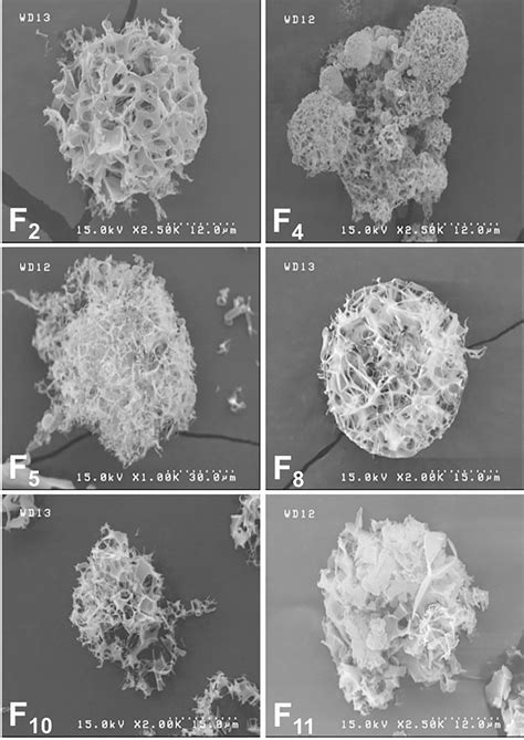 Porous Microparticles Containing Raloxifene Hydrochloride Tailored By