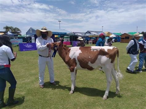 Vuelve La Expoagro Del 8 Al 11 De Diciembre A Cerro Juli Diario El Pueblo