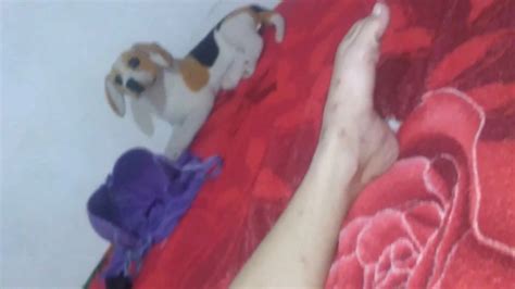 Free Lesbian Short Porn Videos Xhamster