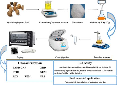 Green Synthesis Of Zinc Oxide Zno Nanoparticles Using