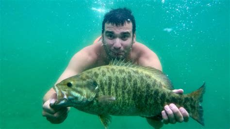 Smallmouth Bass Bonanza Epic Days On Lake Simcoe Youtube