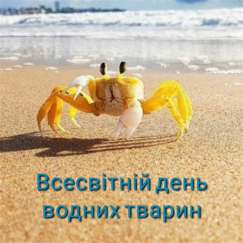 Pin by Snitko Vladislav on 3 квітня April Animals Crab