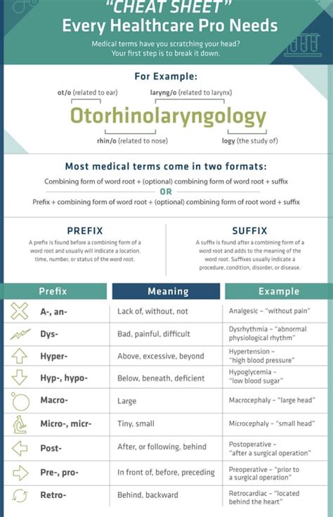 Cheat Sheet Printable Basic Medical Terminology List