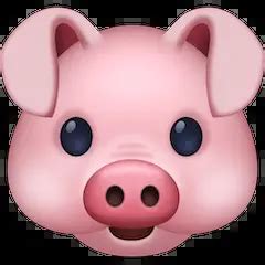 Pig Face Emoji Meaning Copy Paste