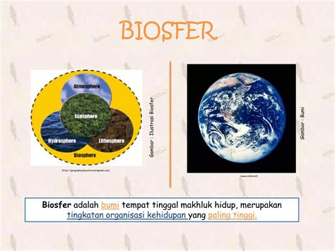 Tingkat Organisasi Kehidupan PPT