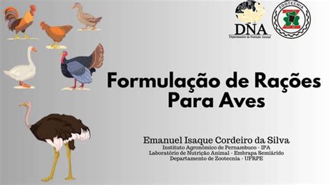 Formulação de Rações Para Aves Frangos de Corte Poedeiras Matrizes