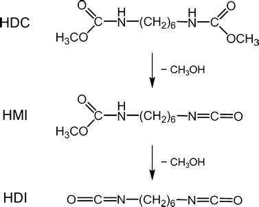 Reaction Scheme On Decomposition Of Dimethylhexane 1 6 Dicarbamate