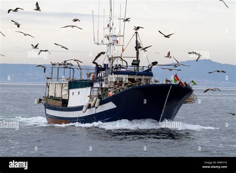 Atún de pesca hi res stock photography and images Alamy