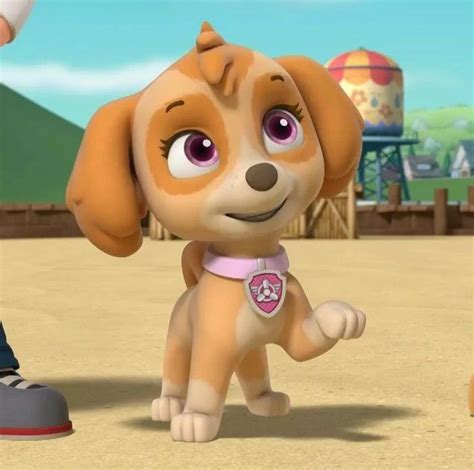 Paw Patrol Pups Skye Paw Patrol Paw Patrol Characters Mario