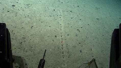 Geogarage Blog Mysterious Seafloor Holes Stump Ocean Scientists