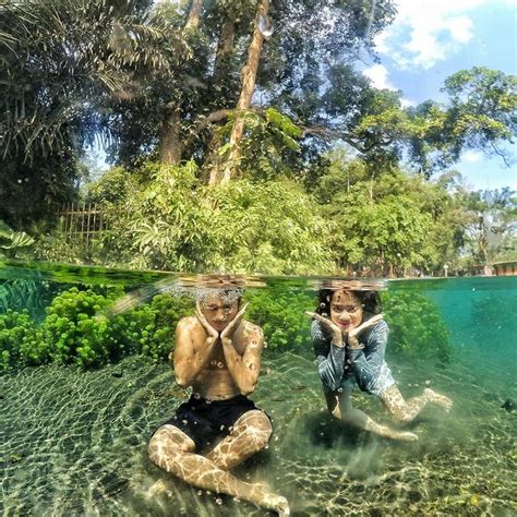 Wisata Alam Sumber Sira Tawarkan Berenang Di Air Jernih Bersama Tanaman