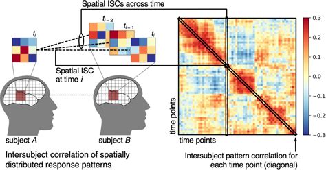 Measuring Shared Responses Across Subjects Using Intersubject