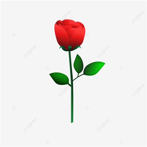 A Single Red Rose Roses Red Love Png Transparent Image And Clipart