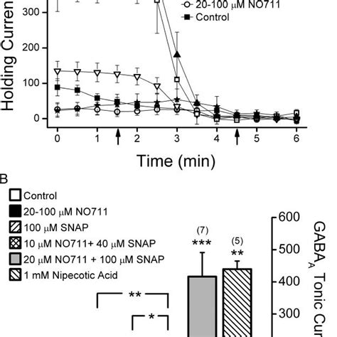 Inhibition Of Both GABA Transporter Subtypes 1 GAT 1 And 2 3