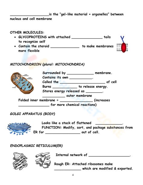 Parts Of Prokaryotic And Eukaryotic Cells Worksheet