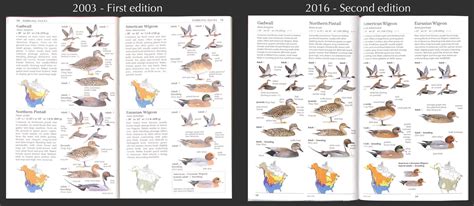 Field Guide Birds Of Utah