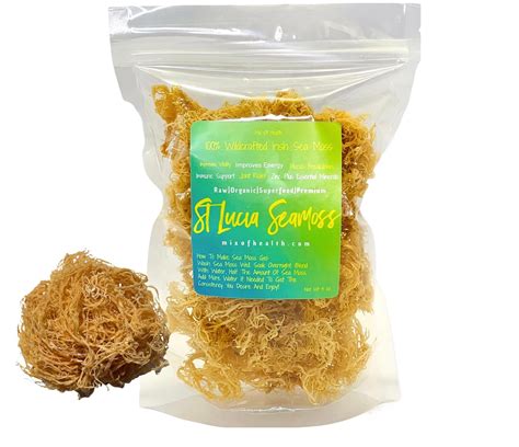 Buy Sea Moss Gold Saint Lucia Irish Sea Moss Raw Seamoss Makes