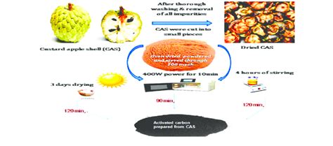 Schematic Representation Of The Synthesis Of Activated Carbon Derived Download Scientific