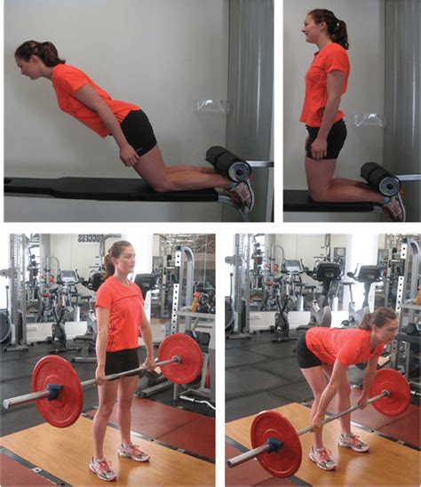 Hamstring exercises: top right-Russian hamstring drop (start position ...