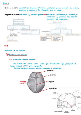 T2 NECROPSIAS LA SALA DE AUTOPSIAS Pdf