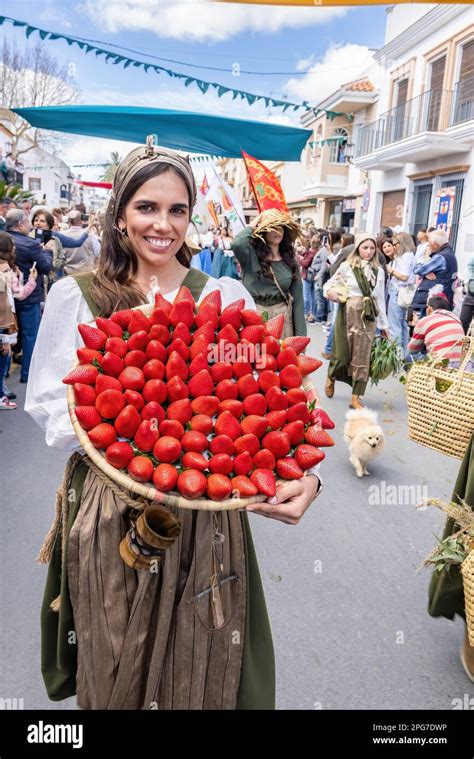 Huelva España 18 De Marzo De 2023 Un Enorme Plato Con Grandes Fresas Variedad Freson De Palos