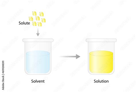 Solutions Solubility Homogeneous Mixture Solute Solvent And Solution