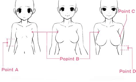 Breast Sizes Body Drawing Tutorial Human Body Drawing Body Tit Sizes