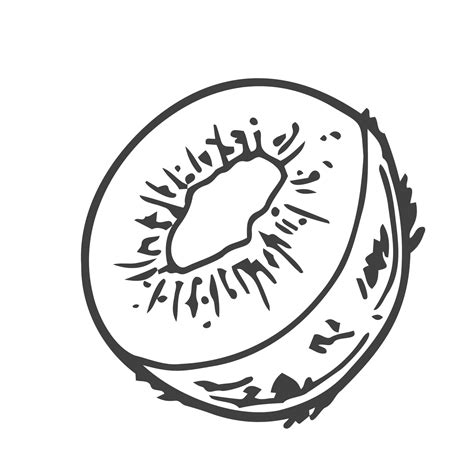 A Single Vector Illustration Of A Kiwi Lines Art Kiwi Fruit Doodle