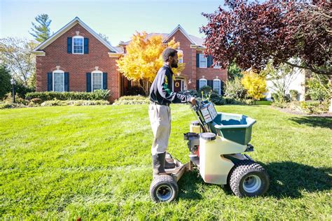 8 Common Questions About Pre Emergent Weed Control Turfs Up Lawn Care