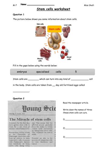 Ks3 Stem Cells Lesson Outstanding Teaching Resources