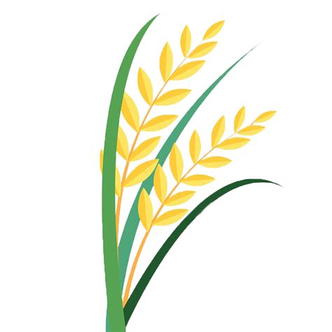 Grains clipart paddy, Grains paddy Transparent FREE for download on ...