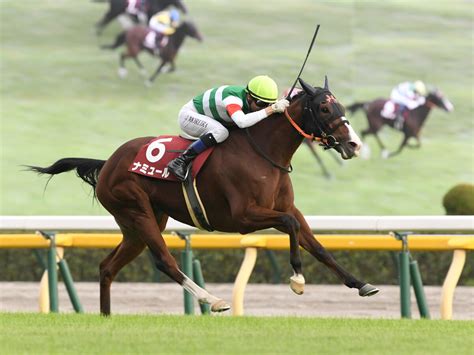 マイルcsでナミュールはgi馬になれるか ようやく競走馬としての「旬」を迎えた Web Sportiva スポルティーバ