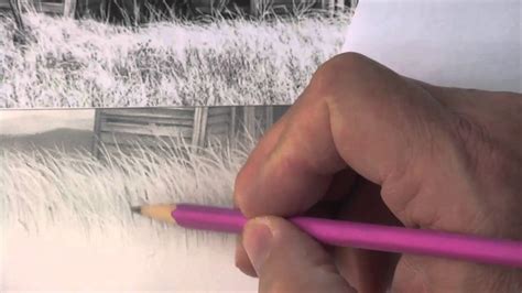 Grass Drawing Pencil